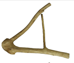 Small Java Wood Multi Branch Perch 16" x 1.2"