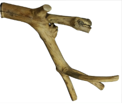 Perchoir multi-branches en bois de Java extra-petit 35,5 x 1,5 cm