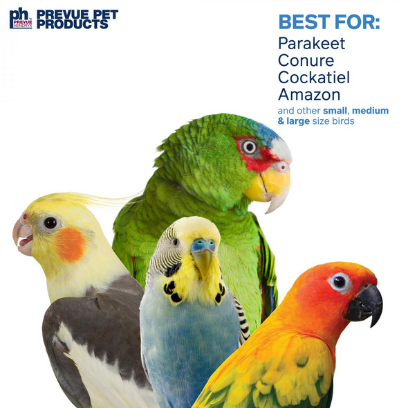 Prevue Pet -  Chime Time Cyclone