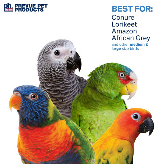 Prevue Pet Naturals - Block Rock