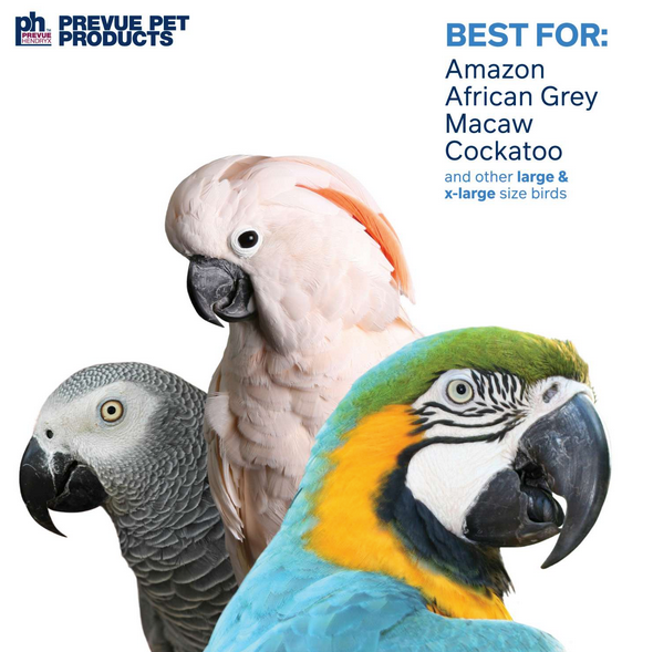 Prevue Pet - Munch 'n' Crunch