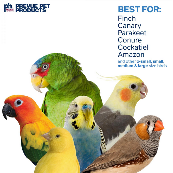 Prevue Tropical Teaser Tiki Hut