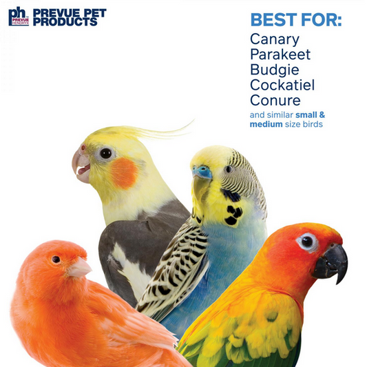 Prevue Pets - Bodacious Bites Abacus