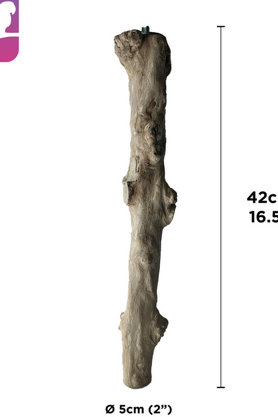 HARI Coffee Wood Bird Perch - Suitable for Large to Extra Large sized parrots