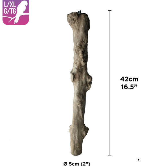 HARI Coffee Wood Bird Perch - Suitable for Large to Extra Large sized parrots
