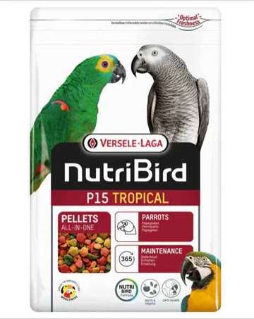 Parrots