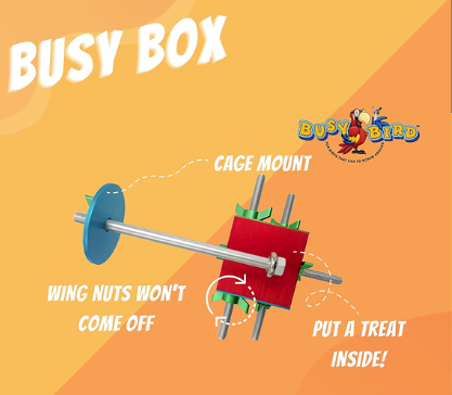 Busy Bird - Busy Box