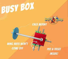 Busy Bird Busy Box