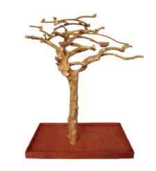 Small Java Wood Floor Tree