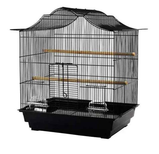Cage Camelia For Budgies/Finches/Canaries