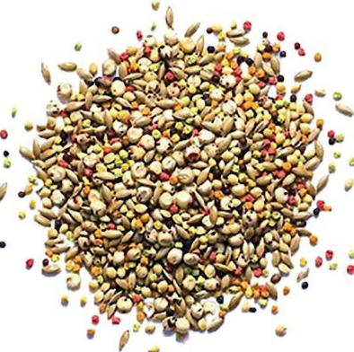 ZuPreem "Sensible Seed" Food For Parakeet, Budgies, Parrotlet & Small Birds