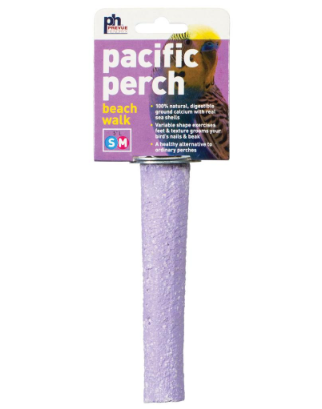 Prevue Pet - Pacific Perch - Beach Walk