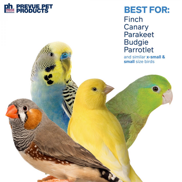 Prevue Pet -  Bodacious Bites Sassy