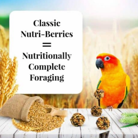Lafeber Conure Nutri-Berries 283 g