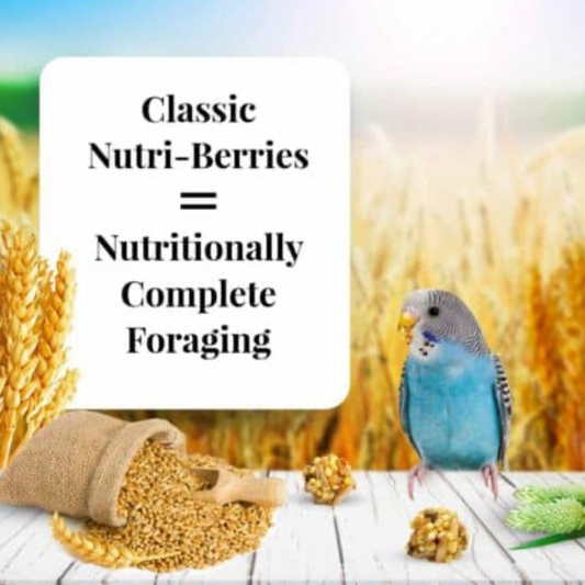 Lafeber Nutri-Berries pour perruches 283 g