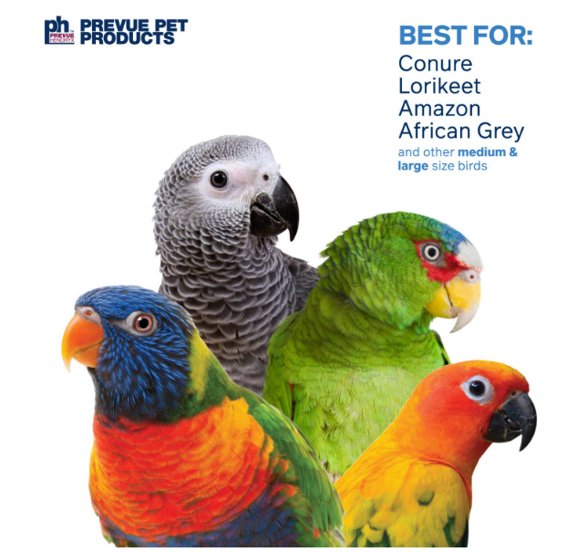 Prevue Pet - Bodacious Bites Ferris Wheel