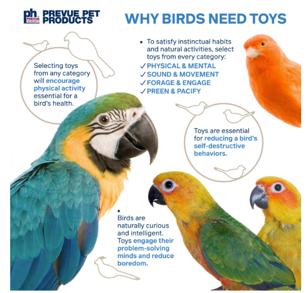 Prevue Pet - Bodacious Bites Ferris Wheel