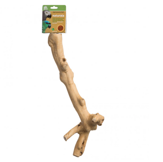 Perchoirs pour oiseaux en bois de Coffea Prevue Pet « Y » 45,7 cm