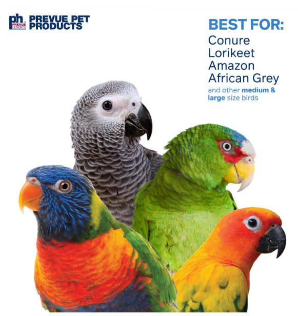 Prevue Pet - Loops'n Rings