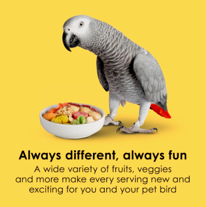 Kaytee Fiesta Parrot Bird 2.5lb
