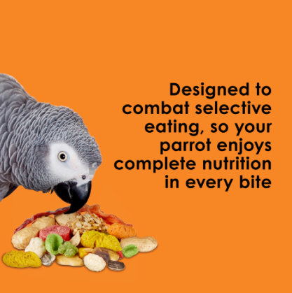 Kaytee Fiesta Parrot Bird 2.5lb