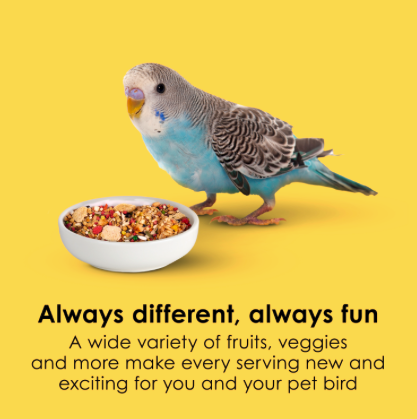 Kaytee Fiesta Parakeet Bird 2lb