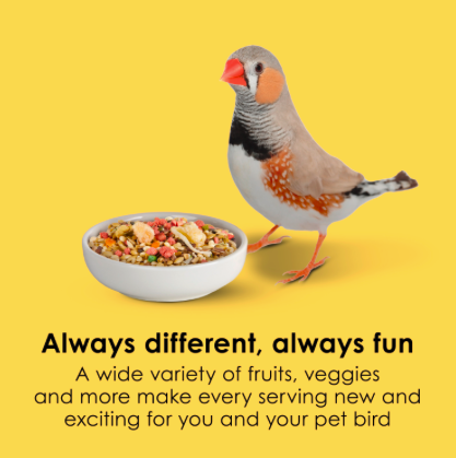 Kaytee Fiesta Canary Finch Bird 2lb