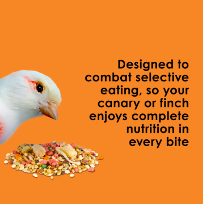 Kaytee Fiesta Canary Finch Bird 2lb