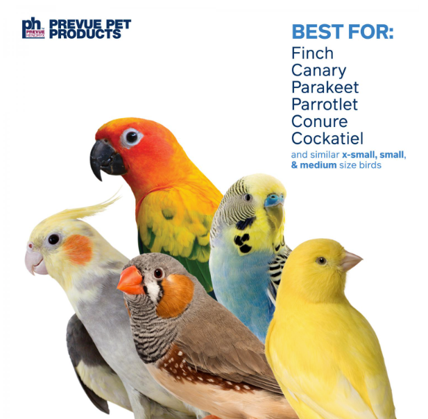 Prevue Pet Playfuls - Birds of Paradise swing