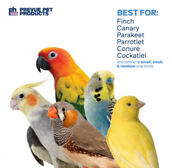 Prevue Pet - Accordion Crinkle Bird Toy