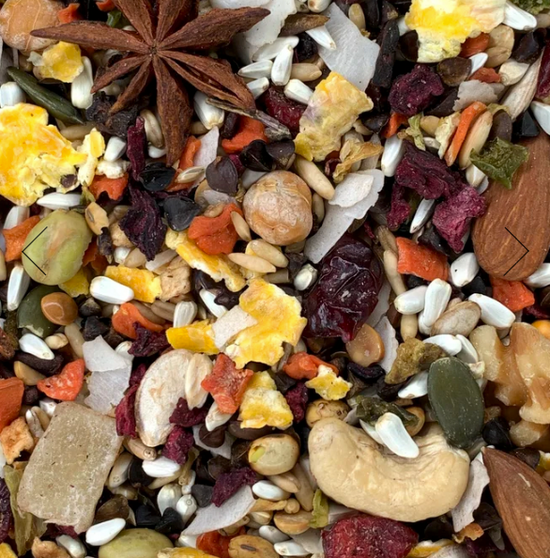 Golden Feast Central American Blend - 3lb - Conure & Cockatiel
