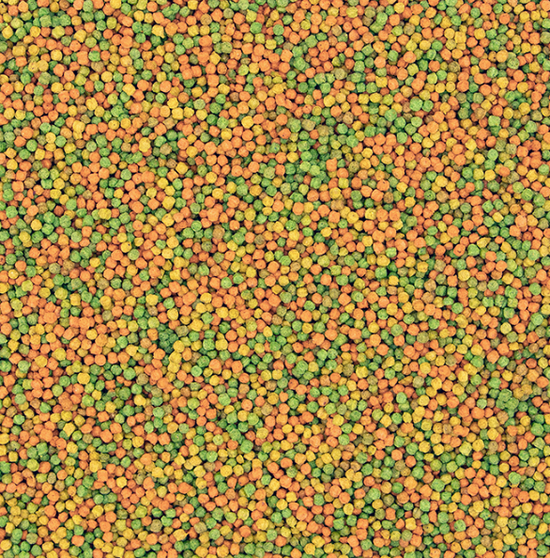 NutriBird - Pellets - Budgies/Parakeet