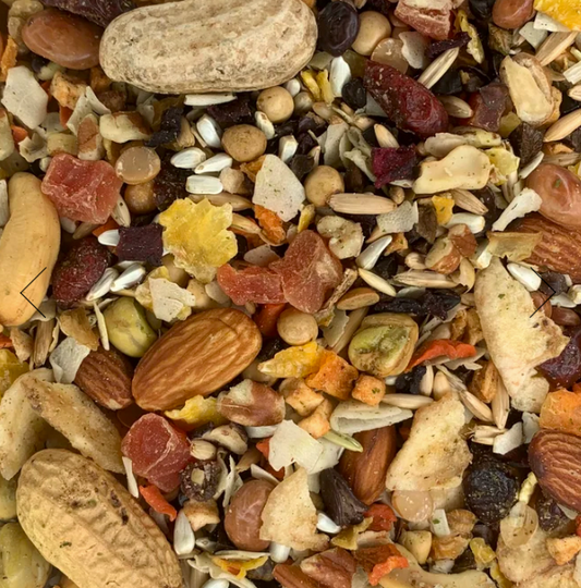 Golden Feast Paradise Treat mix - Parrot/Macaw/LRG Birds
