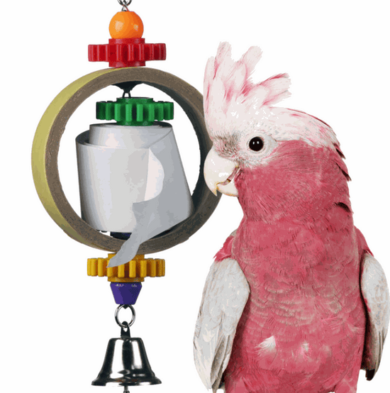 Tape Dispenser Bird Toy