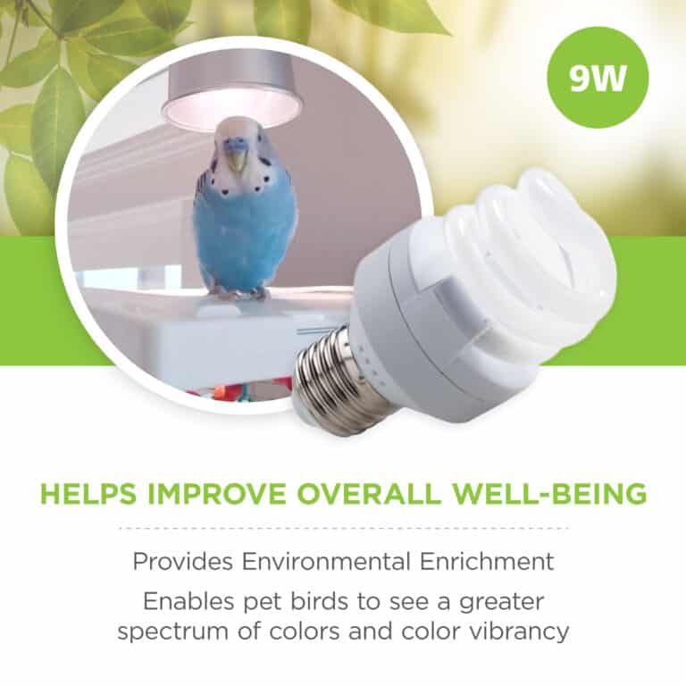 Vision CFL UVA/UVB Mini