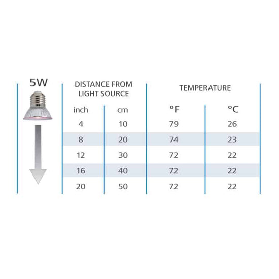 Vision Daylight LED 5 W