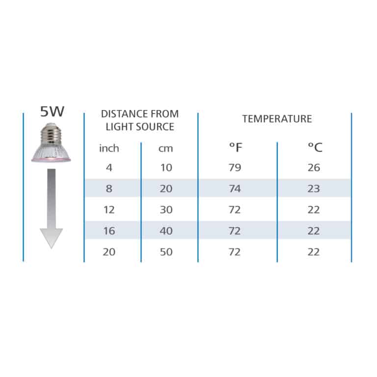 Vision Daylight LED 5 W
