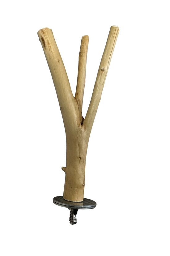 ecomposer-configuration-B-L-7"-x-W-.5"-to-1"