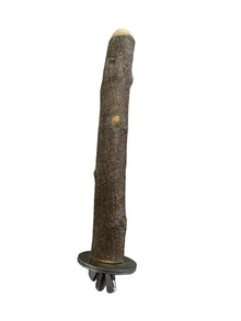 ecomposer-configuration-A--6.5"-x-W-1"