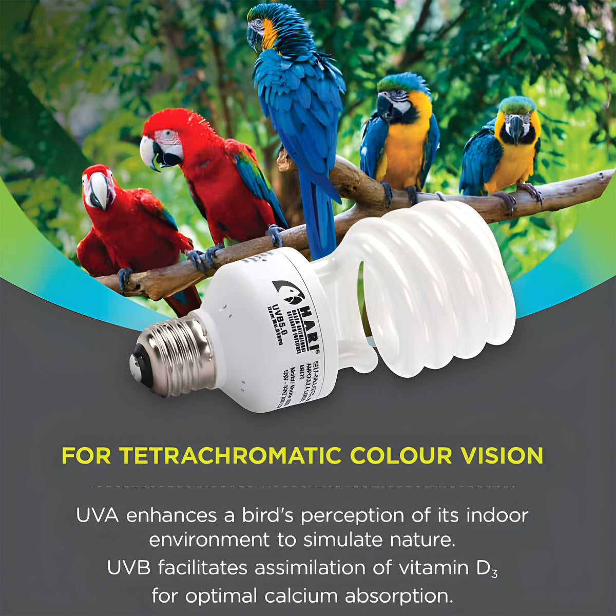 UVA-UVB bird lamp for parrots, enhancing color vision and vitamin D3 absorption in indoor aviaries