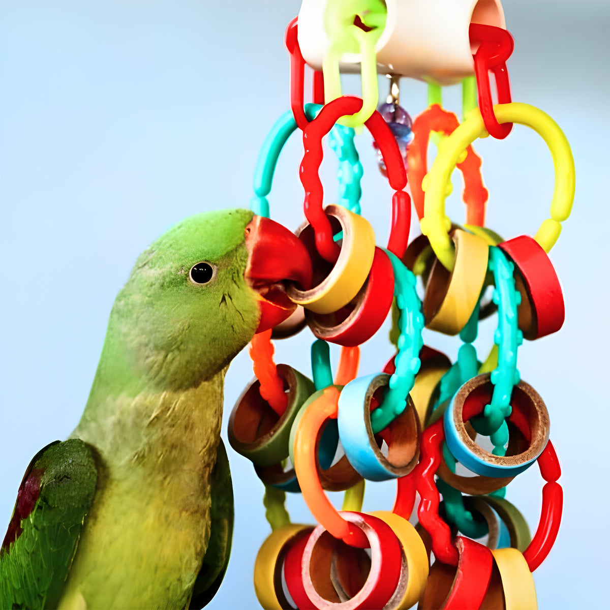 HARI Smart Play Enrichment Parrot Toy - Bagel Cascade