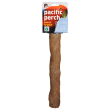 Prevue Pacific Perch Beach Branch