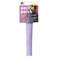 Prevue Pacific Perch Beach Walk