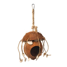 Prevue Coco Hideaway with Shells