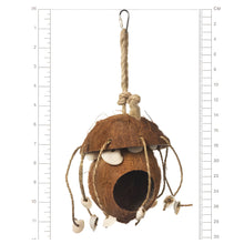 Prevue Coco Hideaway with Shells