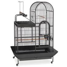 Prevue Deluxe Parrrot Bird Cage with Playtop