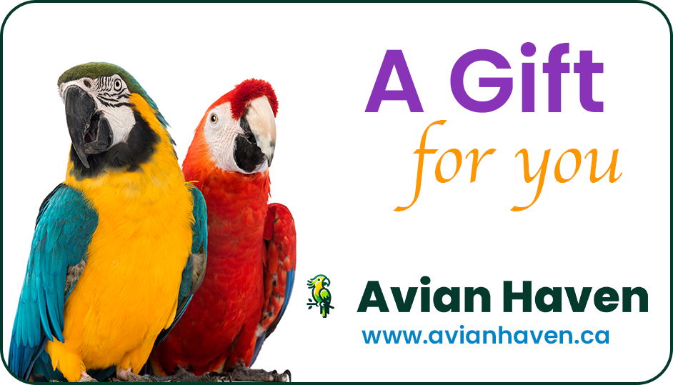 Avian Haven Gift Card