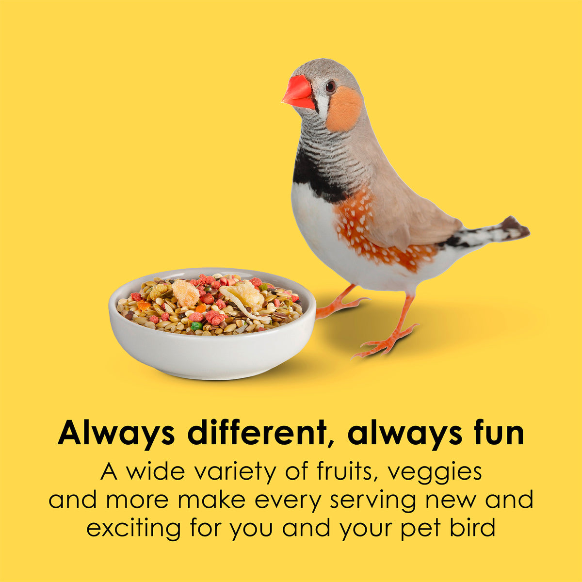 options-canary/finch