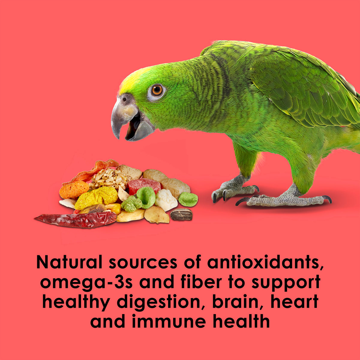 options-parrot