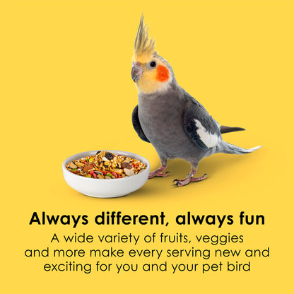 options-cockatiel